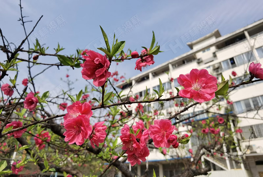 桂林鴻程花團(tuán)錦簇，滿園春色，邀您一起共賞春景，共商大計(jì)！